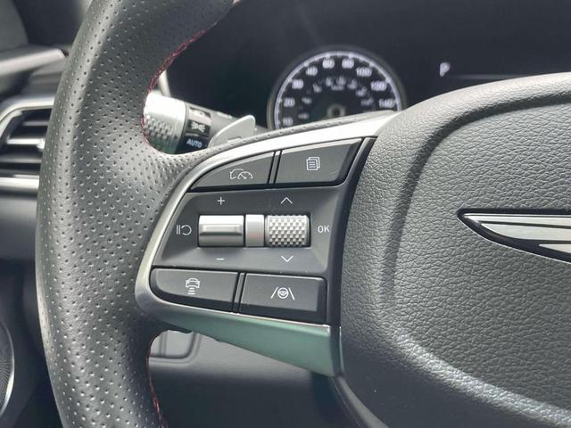Photo of 2024 Vik Black Genesis G70