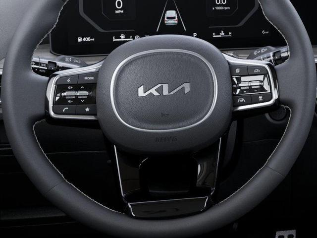 Photo of 2025 Panthera Metal Kia Sorento