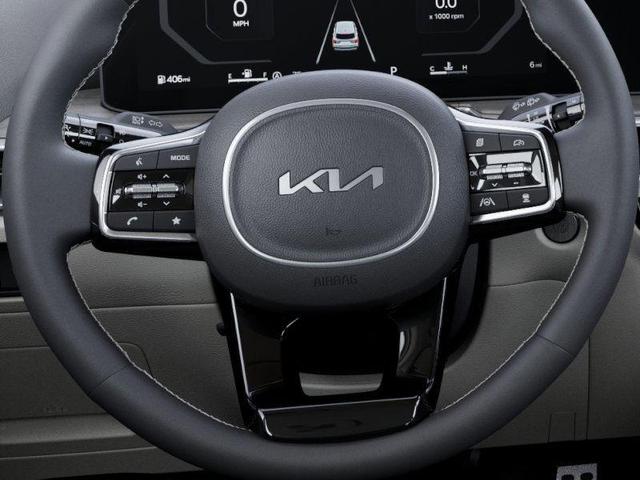 Photo of 2025 Panthera Metal Kia Sorento