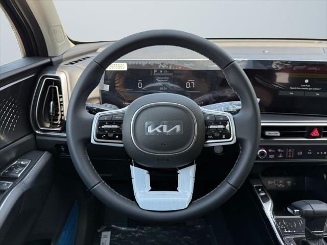 Photo of 2025 Panthera Metal Kia Sorento