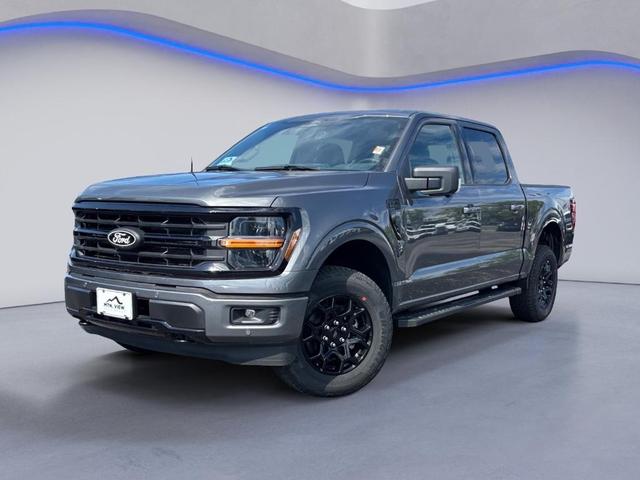 Photo of 2025 Gray Metallic Ford F-150