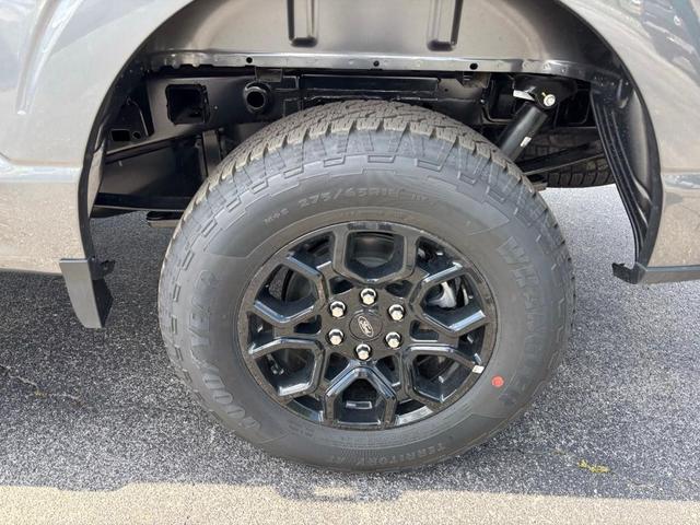 Photo of 2025 Gray Metallic Ford F-150