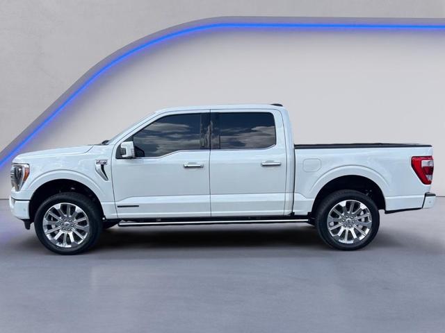 Photo of 2023 Star White Ford F-150