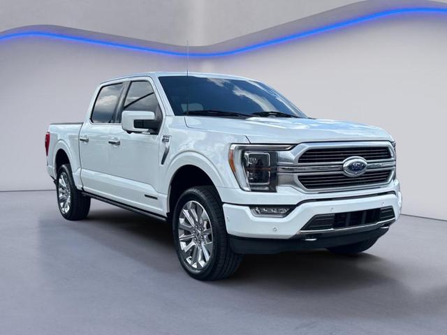 Photo of 2023 Star White Ford F-150