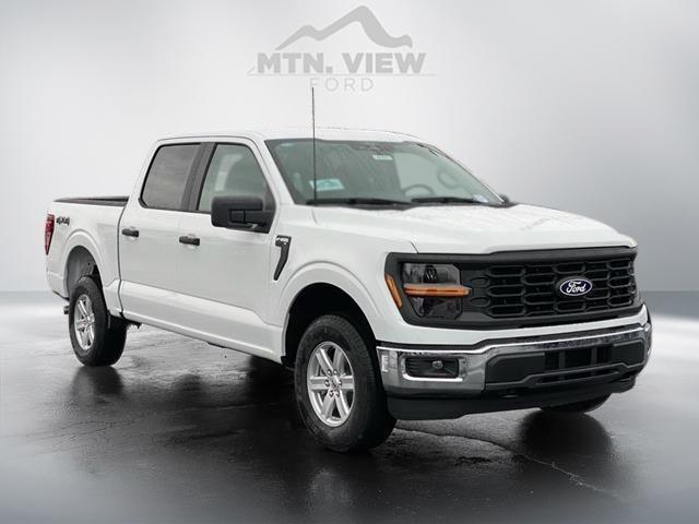 Photo of 2025 Oxford White Ford F-150