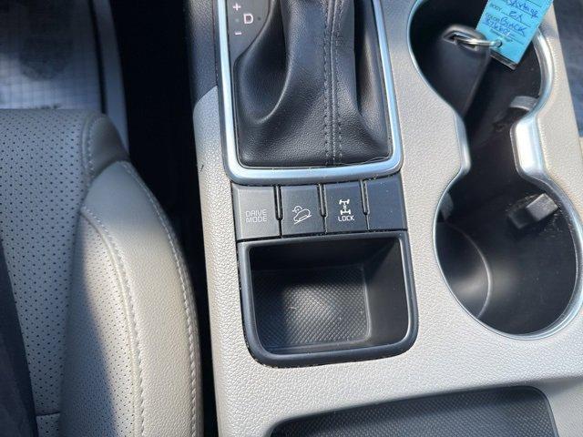 Photo of 2021 Black Cherry Kia Sportage