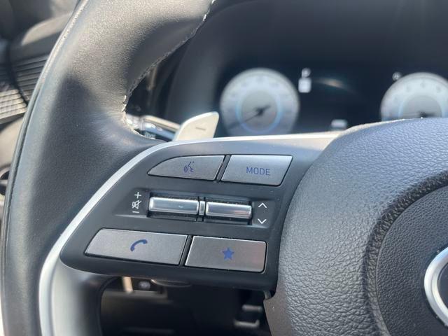 Photo of 2024 Typhoon Silver Hyundai PALISADE