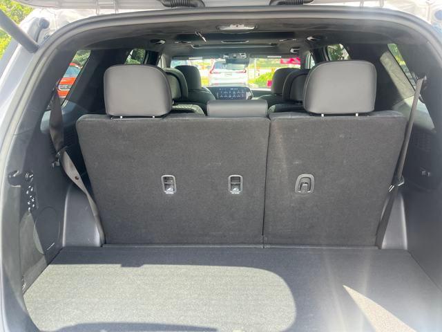 Photo of 2024 Typhoon Silver Hyundai PALISADE