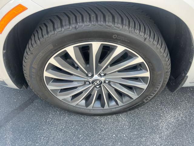 Photo of 2024 Typhoon Silver Hyundai PALISADE