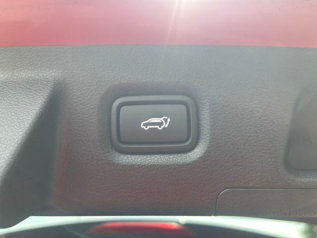 Photo of 2023 Calypso Red Hyundai SANTA FE