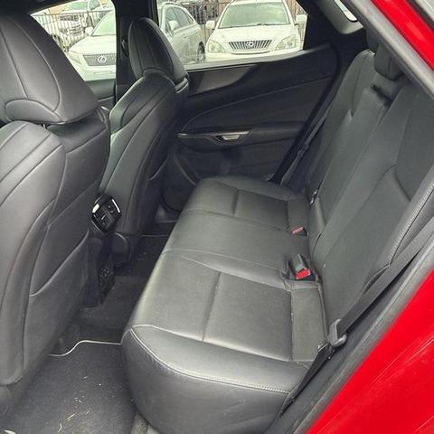 Photo of 2024 Redline Lexus NX 350