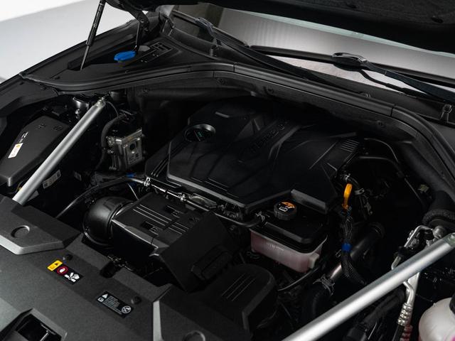 Photo of 2023 Vik Black Genesis GV70
