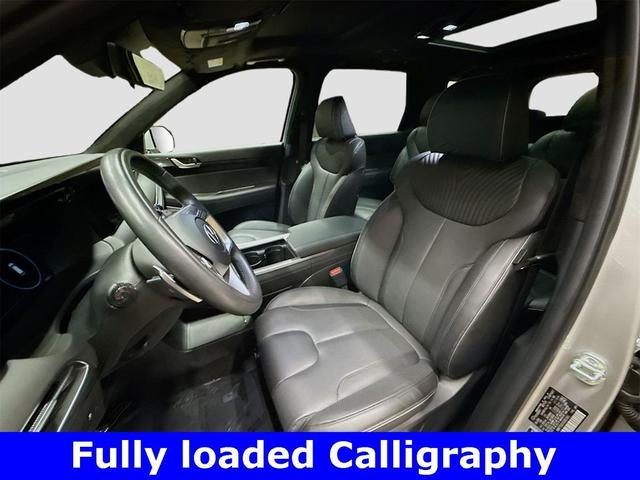 Photo of 2025 Typhoon Silver Hyundai PALISADE