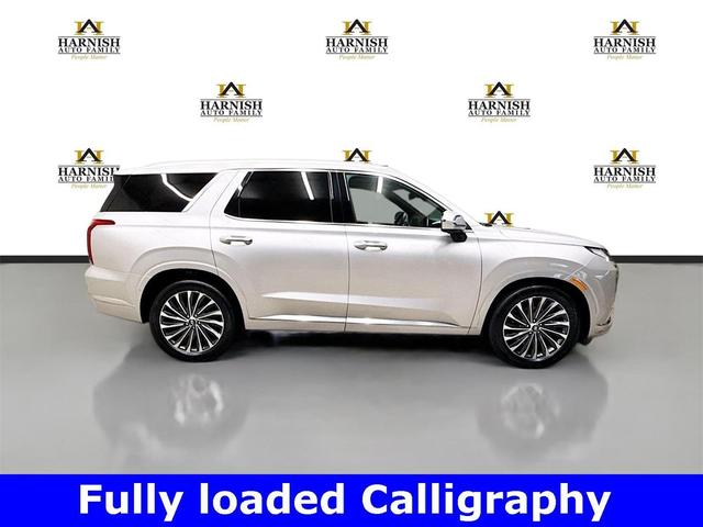 Photo of 2025 Typhoon Silver Hyundai PALISADE