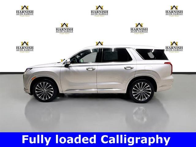 Photo of 2025 Typhoon Silver Hyundai PALISADE