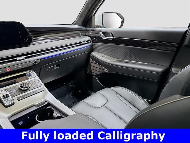 Photo of 2025 Typhoon Silver Hyundai PALISADE