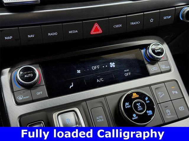 Photo of 2025 Typhoon Silver Hyundai PALISADE