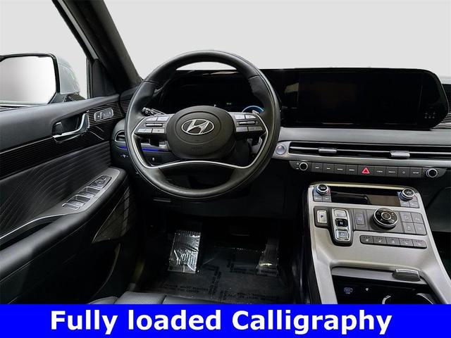 Photo of 2025 Typhoon Silver Hyundai PALISADE