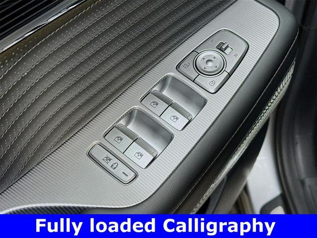 Photo of 2025 Typhoon Silver Hyundai PALISADE
