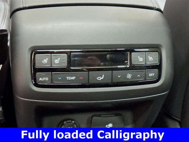 Photo of 2025 Typhoon Silver Hyundai PALISADE