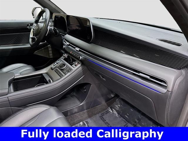 Photo of 2025 Typhoon Silver Hyundai PALISADE