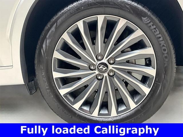 Photo of 2025 Typhoon Silver Hyundai PALISADE