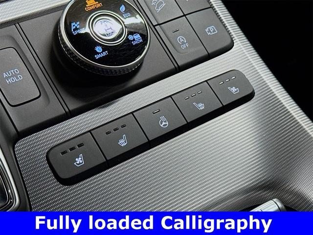 Photo of 2025 Typhoon Silver Hyundai PALISADE