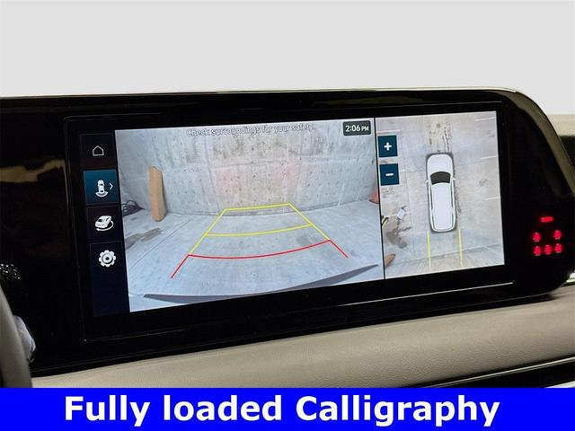 Photo of 2025 Typhoon Silver Hyundai PALISADE