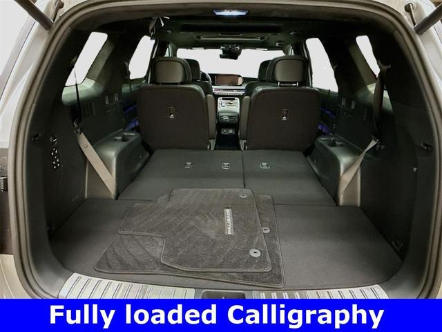Photo of 2025 Typhoon Silver Hyundai PALISADE