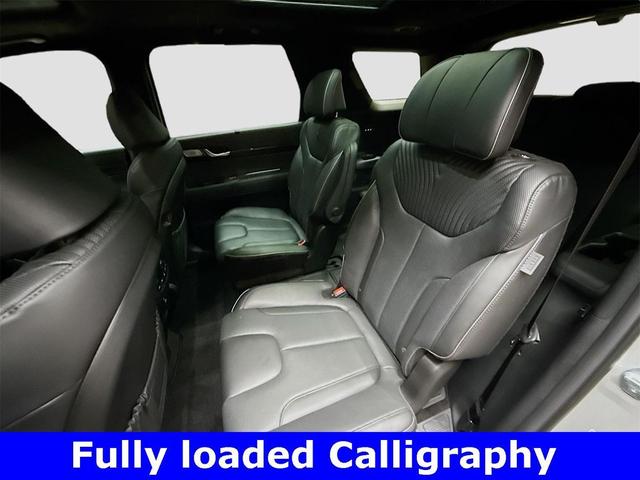 Photo of 2025 Typhoon Silver Hyundai PALISADE