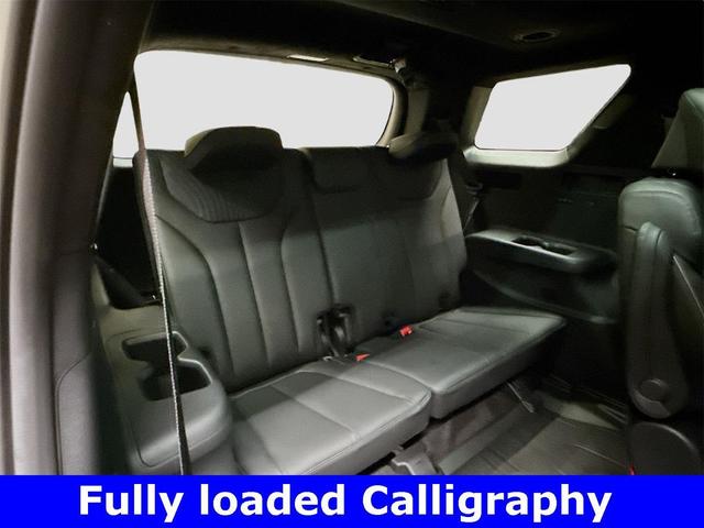 Photo of 2025 Typhoon Silver Hyundai PALISADE