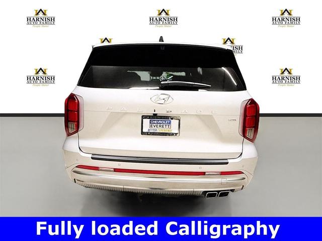 Photo of 2025 Typhoon Silver Hyundai PALISADE