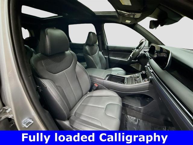 Photo of 2025 Typhoon Silver Hyundai PALISADE