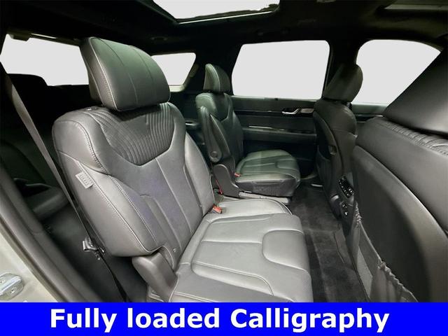 Photo of 2025 Typhoon Silver Hyundai PALISADE