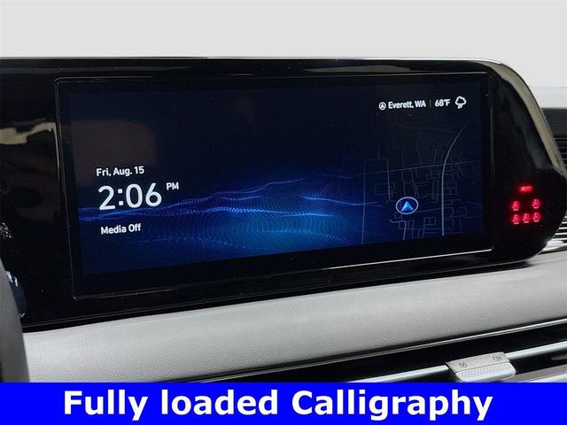 Photo of 2025 Typhoon Silver Hyundai PALISADE