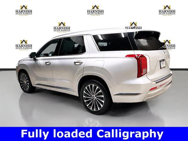 Photo of 2025 Typhoon Silver Hyundai PALISADE
