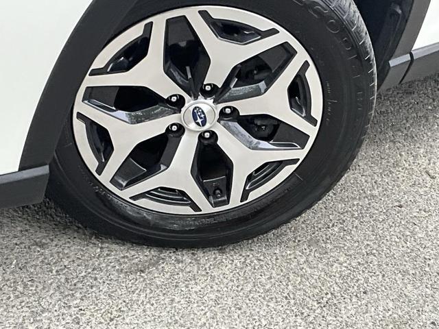 Photo of 2023 Crystal White Pearl Subaru Forester