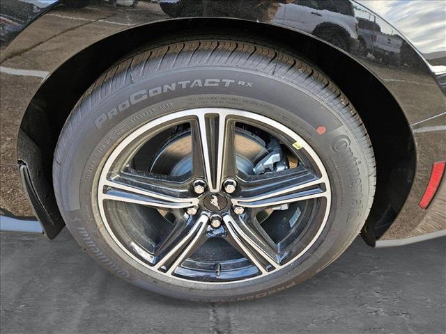 Photo of 2025 Shadow Black Ford Mustang