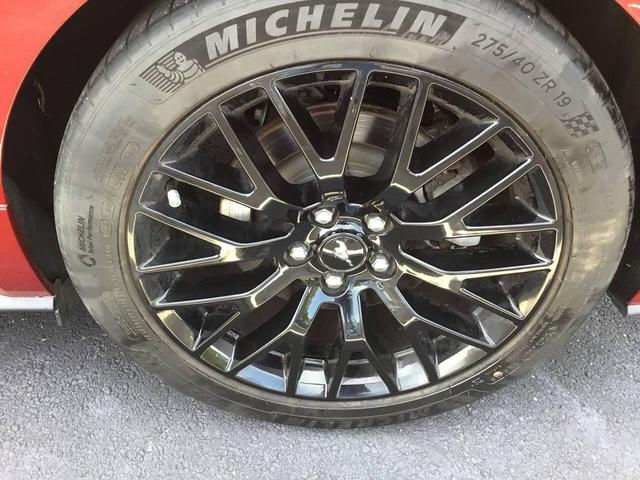 Photo of 2019 Ruby Red Metallic Tinted Clearcoat Ford Mustang