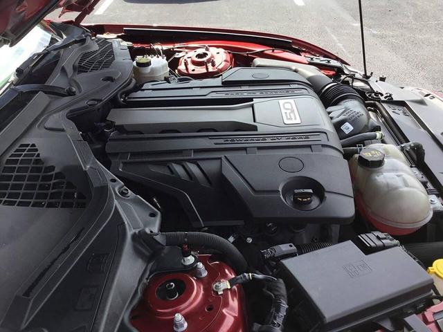 Photo of 2019 Ruby Red Metallic Tinted Clearcoat Ford Mustang