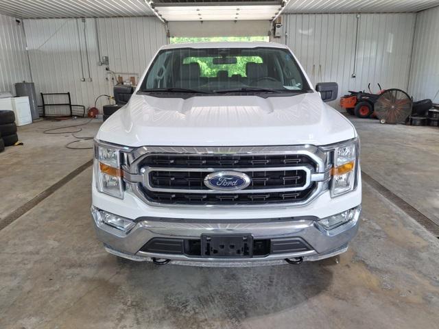 Photo of 2023 Oxford White Ford F-150