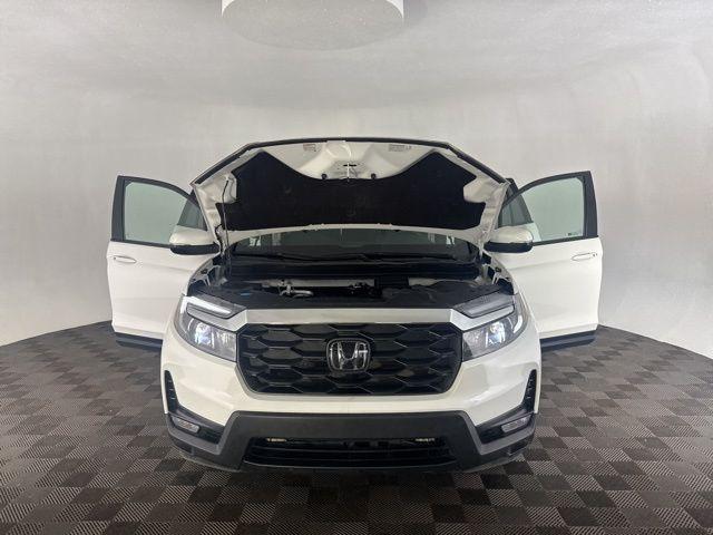 Photo of 2024 Platinum White Pearl Honda Passport