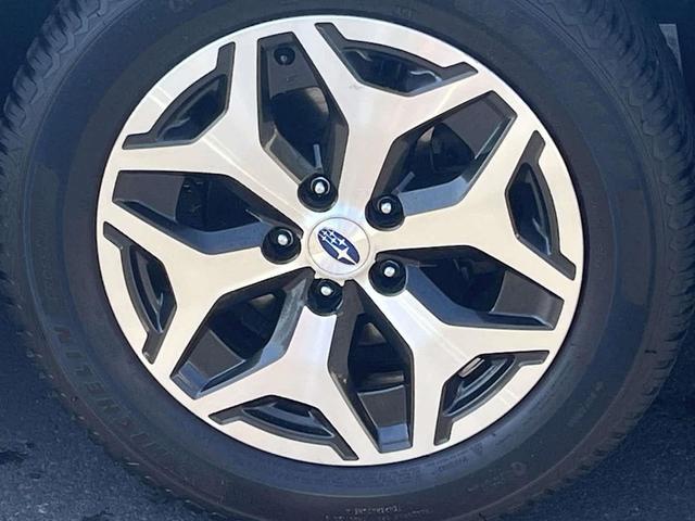 Photo of 2019 Crystal White Pearl Subaru Forester