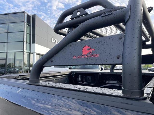 Photo of 2023 AGATE BLACK METALLIC Ford F-150 Lightning