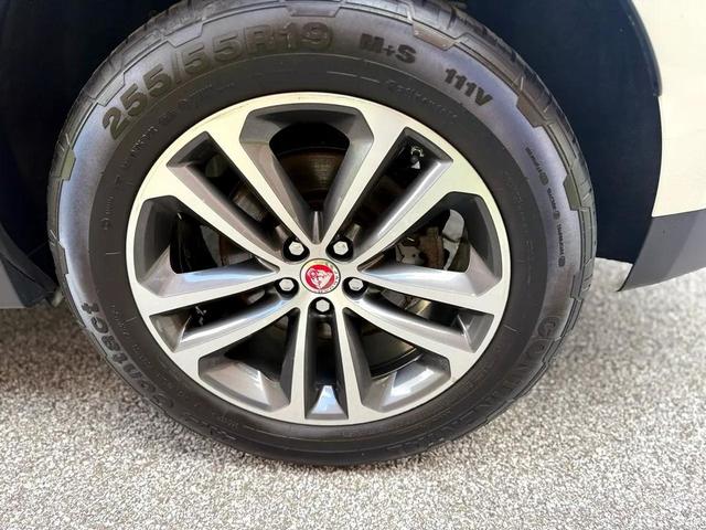 Photo of 2018 Fuji White Jaguar F-PACE