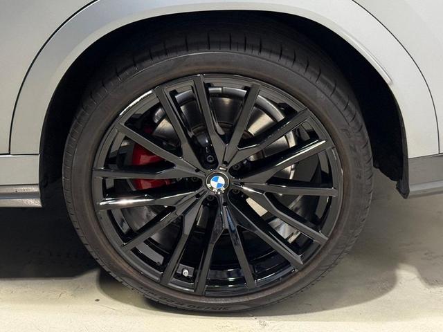 Photo of 2024 Metallic BMW X6