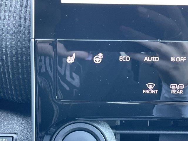 Photo of 2025 Pearl Subaru Solterra