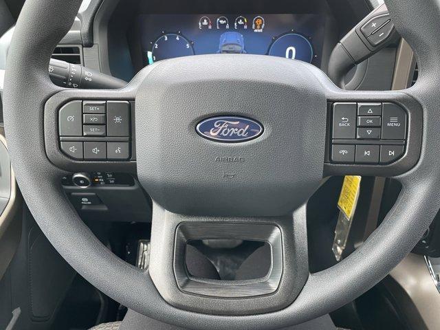 Photo of 2025 Black Ford F-150
