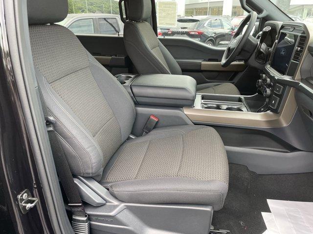 Photo of 2025 Black Ford F-150