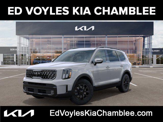 Photo of 2025 Wolf Gray Kia Telluride